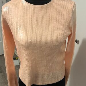 Express Peach Sequin Knit Top